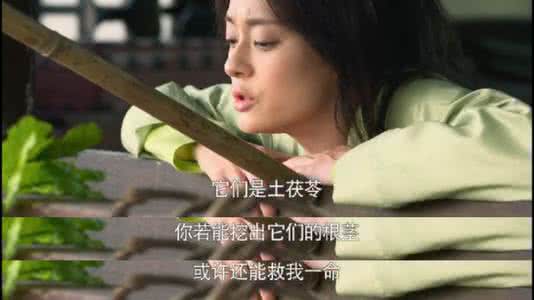 芈月传宫斗手游 《芈月传》我们不聊宫斗,聊养生