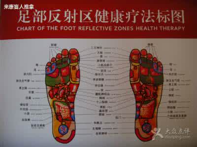 足底反射区图解大全 足底推拿疗法反射区定位图解
