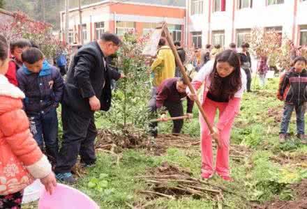 植树造林施工组织设计 东方红中学 今年植树节，东方红中学组织师生开展植树造林活动，为了了解全校800名学生的植树情况，随机抽样调查50