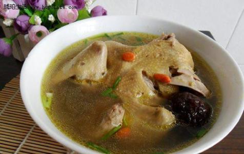 鸽子汤怎么炖补肾 鸽子汤怎么炖补肾 补肾补血喝鸽子汤最好