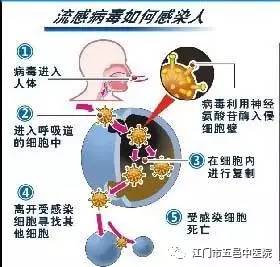 新城疫流感特效药 如何预防流感 7招数流感远离你