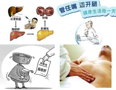 中医治疗脂肪肝的药方 中医治疗脂肪肝