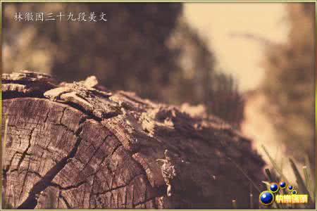 那一天那一刻那个场景 那一天，那一刻.......【情感美文】