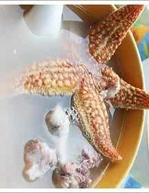 海星汤的做法大全 海星汤的做法 海星的做法是怎样的