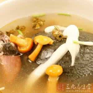 甲鱼汤的营养价值 甲鱼汤的做法大全 营养很全面