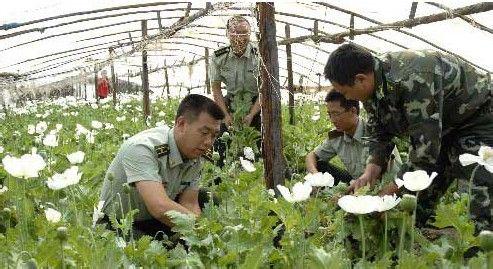 广州蔬菜配送 从蔬菜配送员到千万富翁