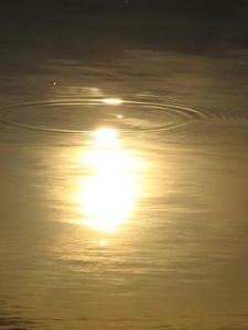 爱我的人和我爱的人 爱我的人和我爱的人【情感美文】