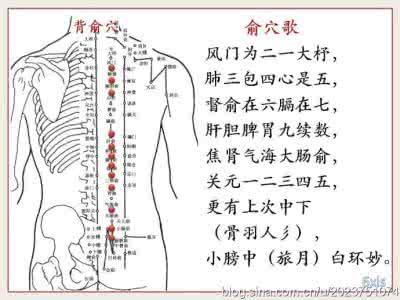 八脉交会歌诀 八会穴