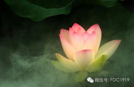 一把剪刀是什么牌子 给欲望一把剪刀
