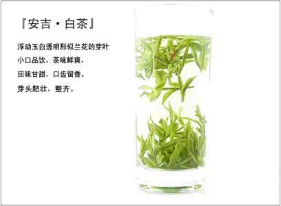 安吉白茶的功效与作用 安吉白茶功效 安吉白茶的功效与作用