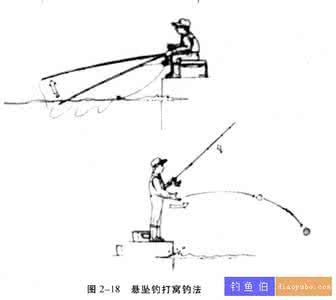 各种钓鱼方法图解 钓鱼图解