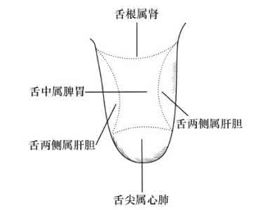 看舌头诊病 舌头是随身诊病的仪器，但你会用吗？