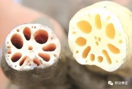远离亚健康 7种素食让你远离亚健康危害
