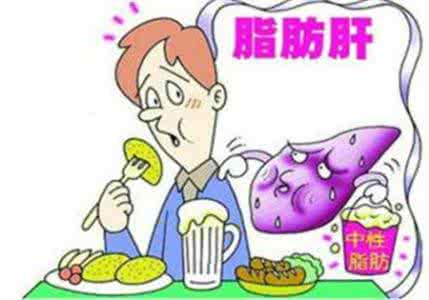脂肪肝如何快速消除 如何调理脂肪肝