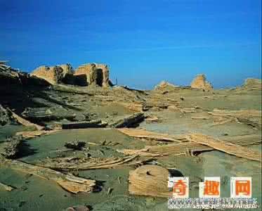 走近科学罗布泊纪录片 图文 科考系列初步解开了罗布泊谜团