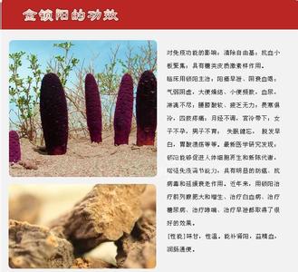 锁阳固精丸多吃上火吗 吃锁阳上火吗？锁阳的营养价值有哪些