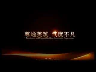 项目电视宣传片解说词 大酒店电视宣传片解说词