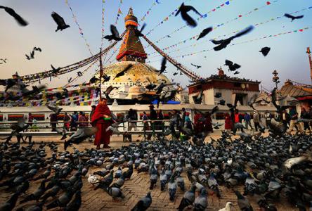 尼泊尔发生8.1级地震 尼泊尔防疫正在赛跑或将发生霍乱