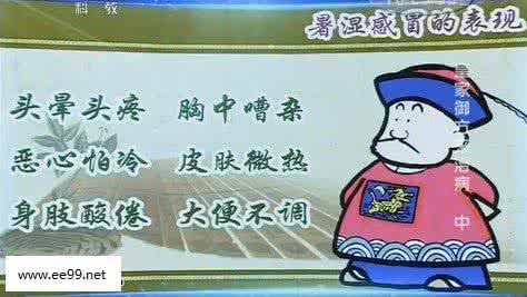 暑湿感冒 暑湿感冒 感受暑湿之《清暑化湿饮》