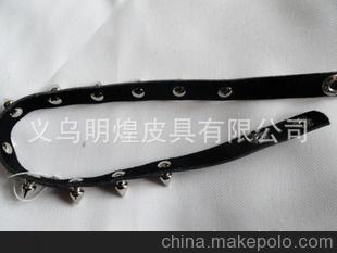 美国短毛猫尖嘴猴腮的 短尖的