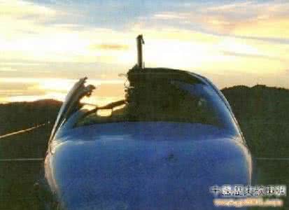 假如我是一只小鸟 航空史上震惊事件 一只小鸟同时干掉13名将军