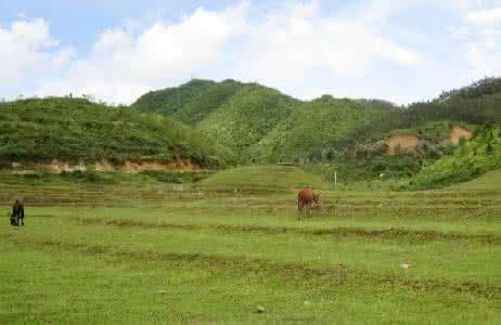 凤凰山陵园风水 苏州风水大师 苏州风水大师哪个比较好