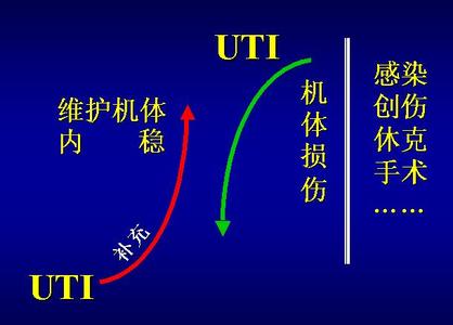 孕激素受体 选择性孕激素受体调节剂醋酸乌司他丁对子宫内膜的作用