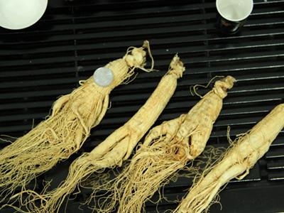 鲜人参多少钱一斤 鲜人参多少钱一斤 吃一碗它比一斤人参还好，你知道吗？