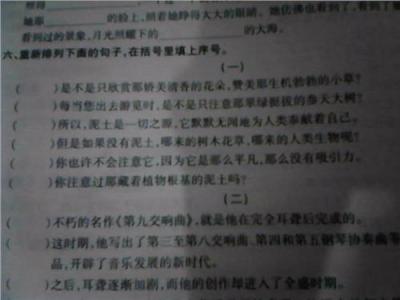 小学语文句子排序练习题附答案