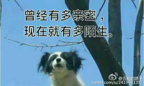 北京博努力 努力活在北京,却有2000万种方法死去,看完只剩一声叹息
