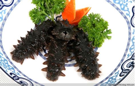 怎么鉴别活海参的好坏 怎样识别海参的种类及质量