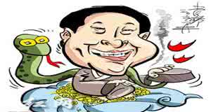 王林变蛇 王林变蛇 在法律上追究王林不容易 他和很多官员有联系