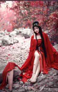 红尘里的花歌词 红尘里的花