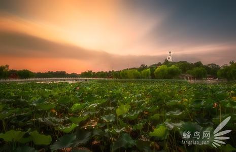 风光摄影 前景 风光摄影的一个重要元素,前景知多少?