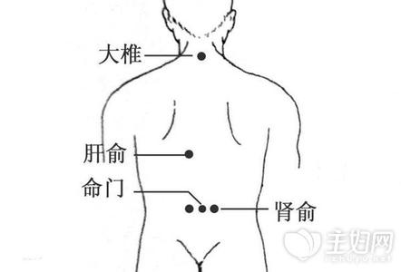 肾虚按摩什么部位图解 肾虚按摩什么部位图解 按摩这些部位帮你保护腰