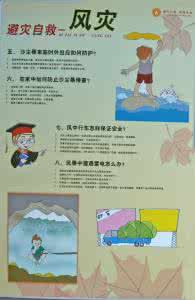 防灾自救小知识 防灾知识科普：遭遇暴雨灾害如何自救