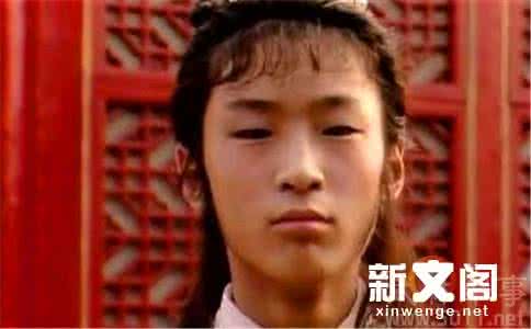红楼梦中的贾环 红楼梦中的贾环是谁的儿子 贾环是谁的儿子