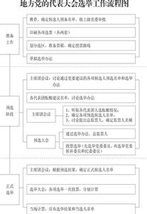 党代表选举流程图 代表选举 流程图 doc 流程图doc