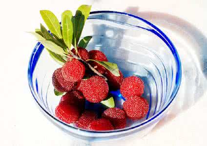 健康减肥法 健康减肥法 实用健康减肥 杨梅减肥法