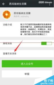 微信公众号开发培训 怎样查看微信公众号历史信息