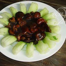 食谱大全美食天下 【缤纷美食】烧食谱汇集