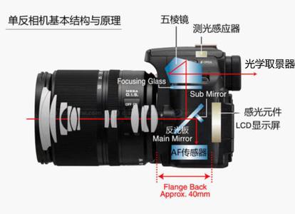 现在什么单反好 无反和单反到底有什么区别