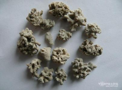海浮石的功效与作用 海浮石的功效与作用 你知道多少海浮石功效与作用