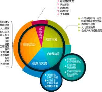 内部控制的八大要素 内部控制五要素分析 内部控制八大要素分析