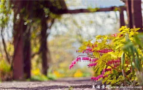 温暖心灵的情感美文 风雨岁月，一笑而过  【情感美文】