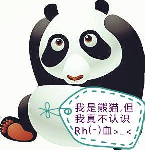 熊猫血的人有什么特征 什么是熊猫血型