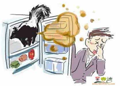 去除鞋子臭味的小窍门 生活小窍门--除各种臭味