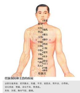 任脉 任脉穴位按摩图解