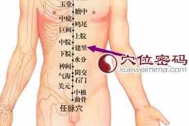 腹胀食欲不振 治疗腹痛、腹胀、胃溃疡、食欲不振的穴位—— 建里穴