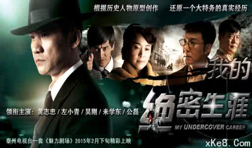 我的绝密生涯 电视剧 电视剧 我的绝密生涯 全40集